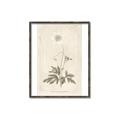 Picture of Flower Sketch I _GroupedProduct_Rectangle_Portrait_Canvas_Framed_