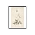 Picture of Flower Sketch I _GroupedProduct_Rectangle_Portrait_Canvas_Framed_