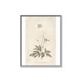 Picture of Flower Sketch I _GroupedProduct_Rectangle_Portrait_Canvas_Framed_