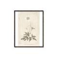 Picture of Flower Sketch I _GroupedProduct_Rectangle_Portrait_Canvas_Framed_