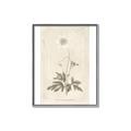 Picture of Flower Sketch I _GroupedProduct_Rectangle_Portrait_Canvas_Framed_