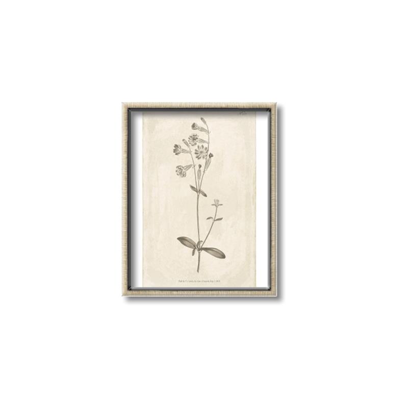 Picture of Flower Sketch II _GroupedProduct_Rectangle_Portrait_Canvas_Framed_