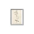 Picture of Flower Sketch II _GroupedProduct_Rectangle_Portrait_Canvas_Framed_
