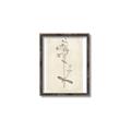 Picture of Flower Sketch II _GroupedProduct_Rectangle_Portrait_Canvas_Framed_