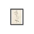Picture of Flower Sketch II _GroupedProduct_Rectangle_Portrait_Canvas_Framed_