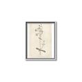 Picture of Flower Sketch II _GroupedProduct_Rectangle_Portrait_Canvas_Framed_