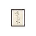 Picture of Flower Sketch II _GroupedProduct_Rectangle_Portrait_Canvas_Framed_