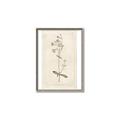 Picture of Flower Sketch II _GroupedProduct_Rectangle_Portrait_Canvas_Framed_