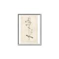 Picture of Flower Sketch II _GroupedProduct_Rectangle_Portrait_Canvas_Framed_
