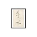 Picture of Flower Sketch II _GroupedProduct_Rectangle_Portrait_Canvas_Framed_