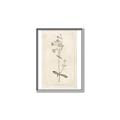 Picture of Flower Sketch II _GroupedProduct_Rectangle_Portrait_Canvas_Framed_