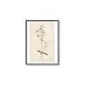 Picture of Flower Sketch II _GroupedProduct_Rectangle_Portrait_Canvas_Framed_