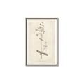 Picture of Flower Sketch II _GroupedProduct_Rectangle_Portrait_Canvas_Framed_