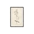 Picture of Flower Sketch II _GroupedProduct_Rectangle_Portrait_Canvas_Framed_