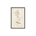 Picture of Flower Sketch II _GroupedProduct_Rectangle_Portrait_Canvas_Framed_