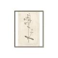 Picture of Flower Sketch II _GroupedProduct_Rectangle_Portrait_Canvas_Framed_