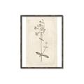 Picture of Flower Sketch II _GroupedProduct_Rectangle_Portrait_Canvas_Framed_