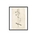 Picture of Flower Sketch II _GroupedProduct_Rectangle_Portrait_Canvas_Framed_