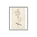 Picture of Flower Sketch II _GroupedProduct_Rectangle_Portrait_Canvas_Framed_