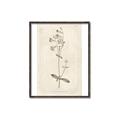 Picture of Flower Sketch II _GroupedProduct_Rectangle_Portrait_Canvas_Framed_