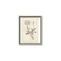 Picture of Flower Sketch III _GroupedProduct_Rectangle_Portrait_Canvas_Framed_
