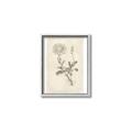 Picture of Flower Sketch III _GroupedProduct_Rectangle_Portrait_Canvas_Framed_