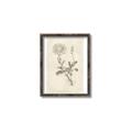 Picture of Flower Sketch III _GroupedProduct_Rectangle_Portrait_Canvas_Framed_