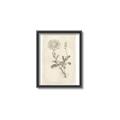 Picture of Flower Sketch III _GroupedProduct_Rectangle_Portrait_Canvas_Framed_
