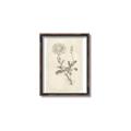 Picture of Flower Sketch III _GroupedProduct_Rectangle_Portrait_Canvas_Framed_