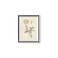 Picture of Flower Sketch III _GroupedProduct_Rectangle_Portrait_Canvas_Framed_