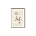Picture of Flower Sketch III _GroupedProduct_Rectangle_Portrait_Canvas_Framed_