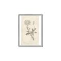 Picture of Flower Sketch III _GroupedProduct_Rectangle_Portrait_Canvas_Framed_