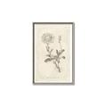 Picture of Flower Sketch III _GroupedProduct_Rectangle_Portrait_Canvas_Framed_