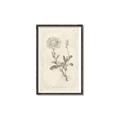 Picture of Flower Sketch III _GroupedProduct_Rectangle_Portrait_Canvas_Framed_