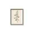 Picture of Flower Sketch IV _GroupedProduct_Rectangle_Portrait_Canvas_Framed_