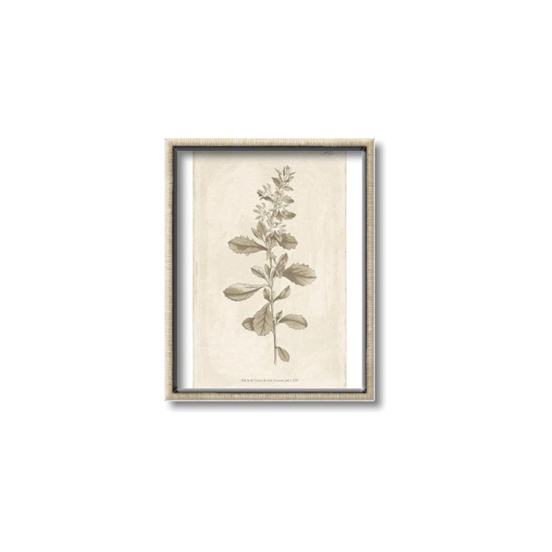Picture of Flower Sketch IV _GroupedProduct_Rectangle_Portrait_Canvas_Framed_