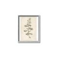 Picture of Flower Sketch IV _GroupedProduct_Rectangle_Portrait_Canvas_Framed_