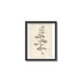 Picture of Flower Sketch IV _GroupedProduct_Rectangle_Portrait_Canvas_Framed_