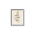 Picture of Flower Sketch IV _GroupedProduct_Rectangle_Portrait_Canvas_Framed_