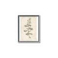 Picture of Flower Sketch IV _GroupedProduct_Rectangle_Portrait_Canvas_Framed_
