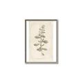 Picture of Flower Sketch IV _GroupedProduct_Rectangle_Portrait_Canvas_Framed_