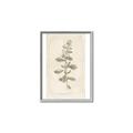 Picture of Flower Sketch IV _GroupedProduct_Rectangle_Portrait_Canvas_Framed_