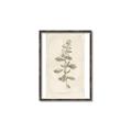 Picture of Flower Sketch IV _GroupedProduct_Rectangle_Portrait_Canvas_Framed_