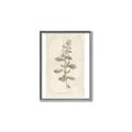 Picture of Flower Sketch IV _GroupedProduct_Rectangle_Portrait_Canvas_Framed_