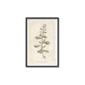 Picture of Flower Sketch IV _GroupedProduct_Rectangle_Portrait_Canvas_Framed_