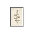 Picture of Flower Sketch IV _GroupedProduct_Rectangle_Portrait_Canvas_Framed_