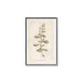 Picture of Flower Sketch IV _GroupedProduct_Rectangle_Portrait_Canvas_Framed_
