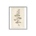 Picture of Flower Sketch IV _GroupedProduct_Rectangle_Portrait_Canvas_Framed_