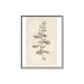 Picture of Flower Sketch IV _GroupedProduct_Rectangle_Portrait_Canvas_Framed_