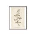 Picture of Flower Sketch IV _GroupedProduct_Rectangle_Portrait_Canvas_Framed_